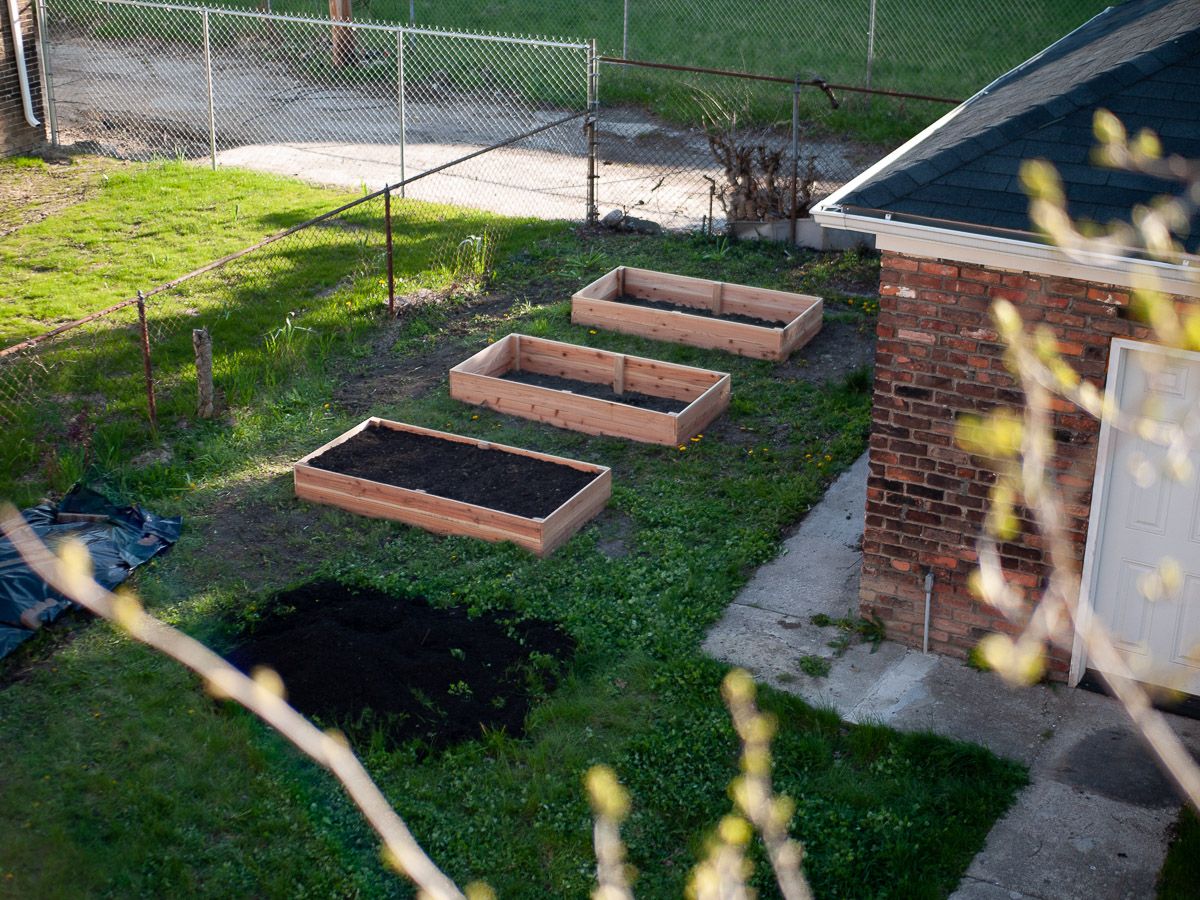 Cedar raised bed gardens, one filled, the other two waiting.