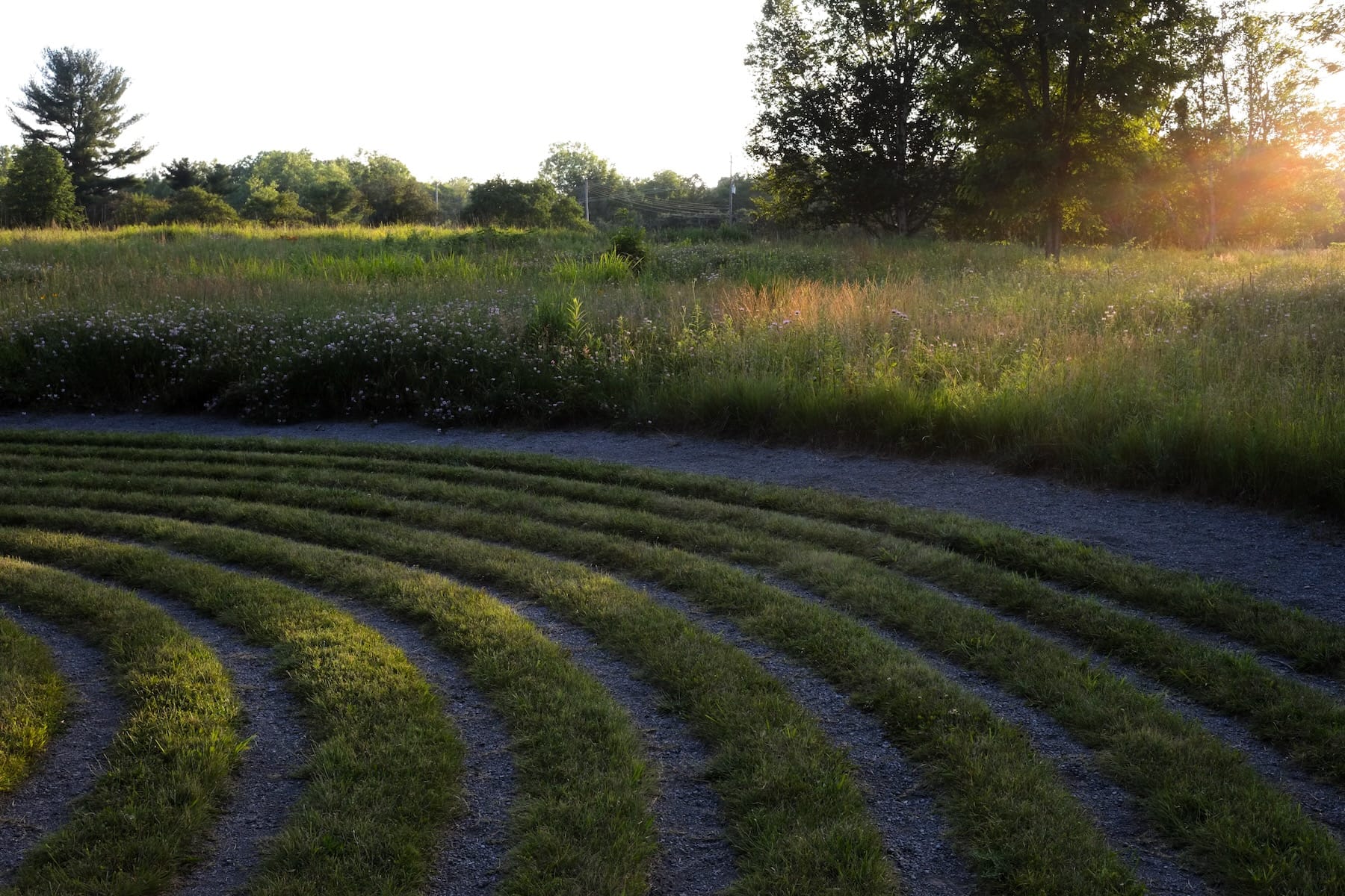 Sun setting over labyrinth rings at a botanical garden. Prairie wildflowers in background.