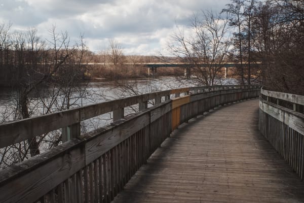 Weathered boardwalk along Huron river, small section of new wood, concrete bridge in distance